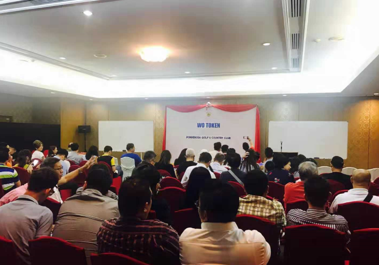 WoToken的最低点：77亿美元的资本市场崩溃4