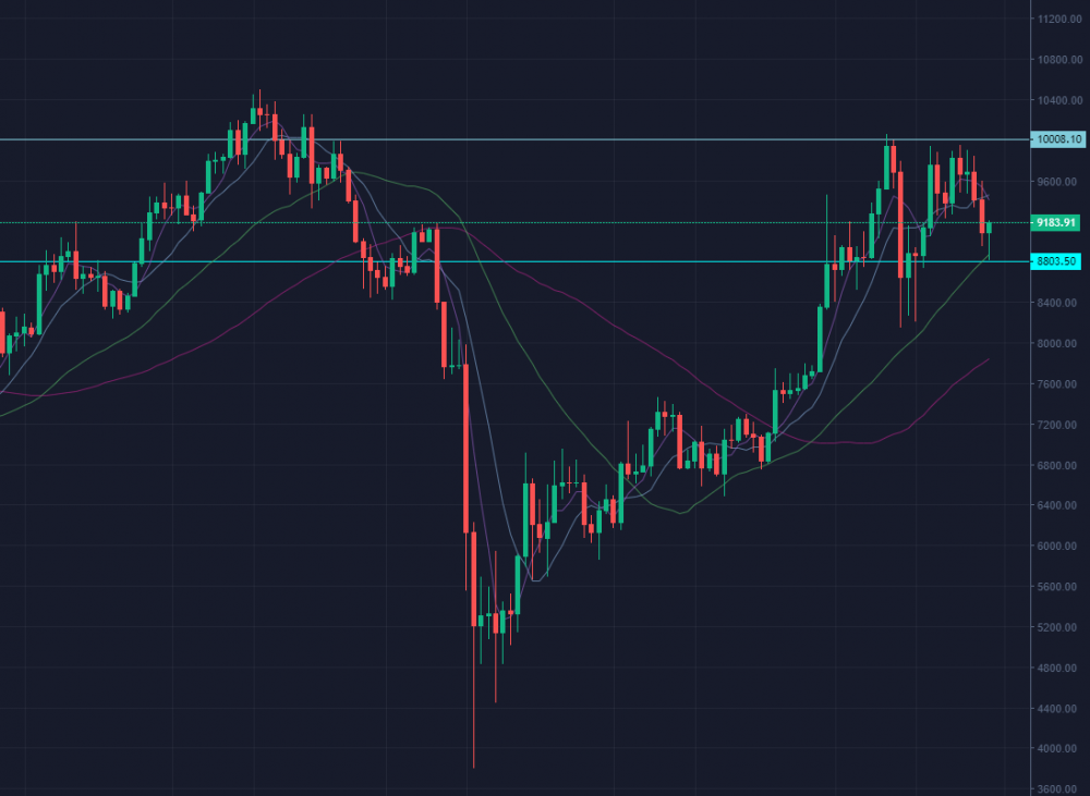 FMEX技术进步于5月22日举行的比特币国际披萨节 FMEX技术进步于5月22日举行的比特币国际披萨节