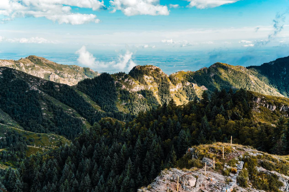 5个月内发行了50亿Tether,BTC网络掩盖了流动性危机4 5个月内发行了50亿Tether,BTC网络掩盖了流动性危机4