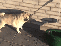 谁在币圈里赚钱？5