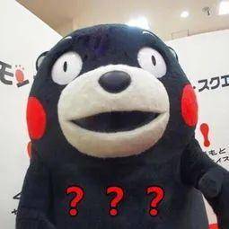 这些Grants项目可能会带来下一轮牛市吗？3