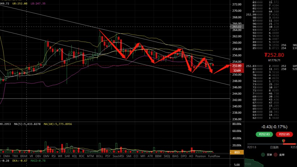 凌姗说币：6.7比特现金,柚子行情分析及操作建议
