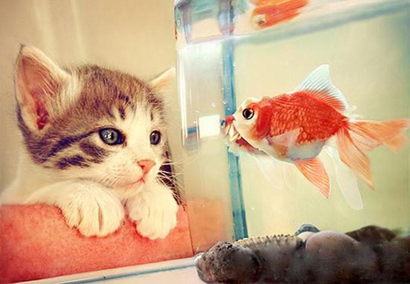 代码或法律真的可以做所有事情吗？谈论区块链的两种治理5