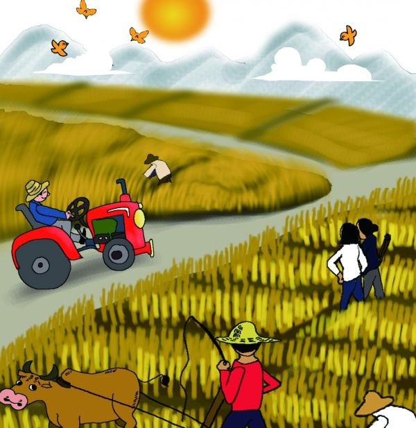 代码或法律真的可以做所有事情吗？谈论区块链的两种治理7