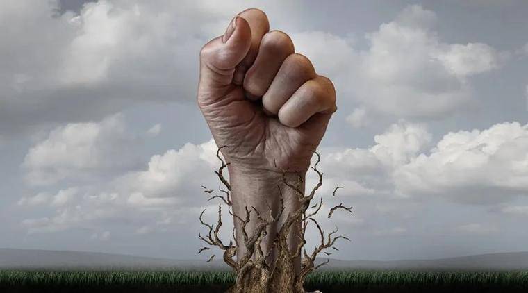 去中心化交易所中充斥着“异国情调的硬币”：购买弗洛伊德硬币以使黑人公义