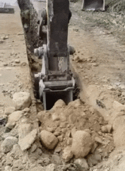 如果继续这样，合同杀死的猪多于猪！20