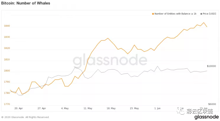 Coindesk：自减半以来， 比特币 “鲸鱼”的数量增加了2％