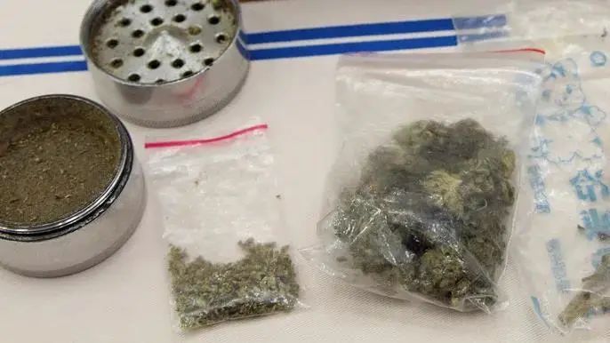 监督一线脱口秀演员锦毒案，形成庞大的贩毒网络，犯罪团伙只使用虚拟货币交易