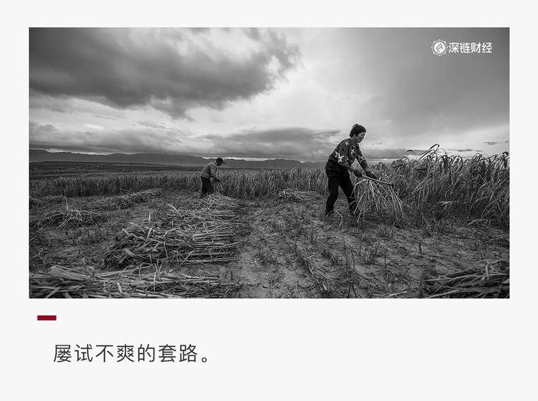 揭开资本板块：区块链噱头，拉人模式，收获数亿元