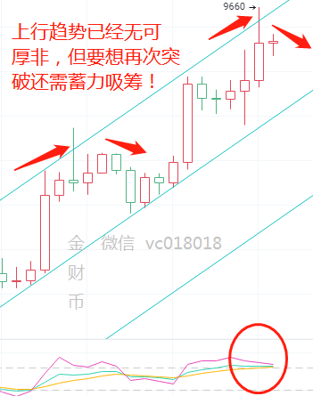 金财币 BTC牛气冲天 7.24吃肉策略