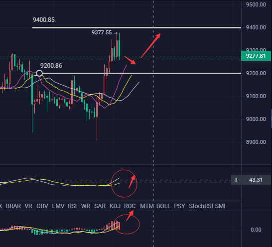 币海引路人：多头占优 能否一路向上