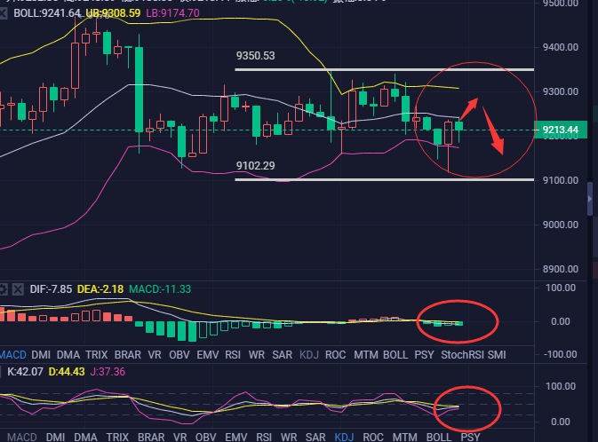 币海引路人：多空拉锯战持续  后市走向何方