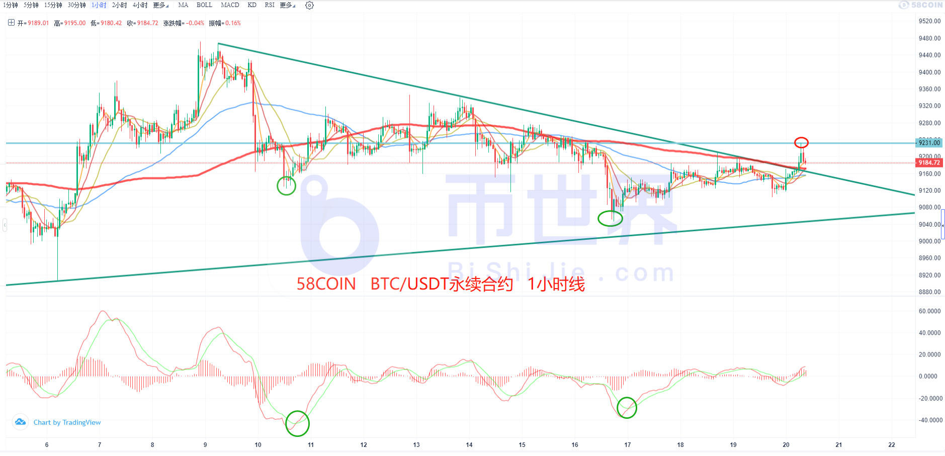 【合约日报】BTC售价居高不下，BNB转向7