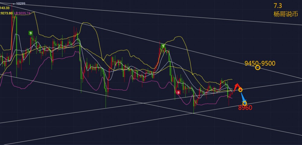 【杨哥说币】7.3-BTC下方关注8900趋势支撑，未破随便多！1