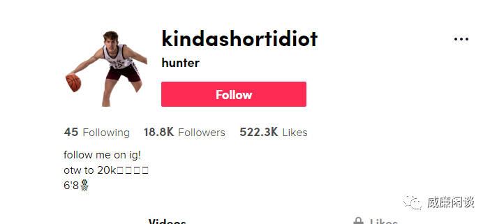 海外颤音高喊名单：山寨币牛市引擎的新时代9