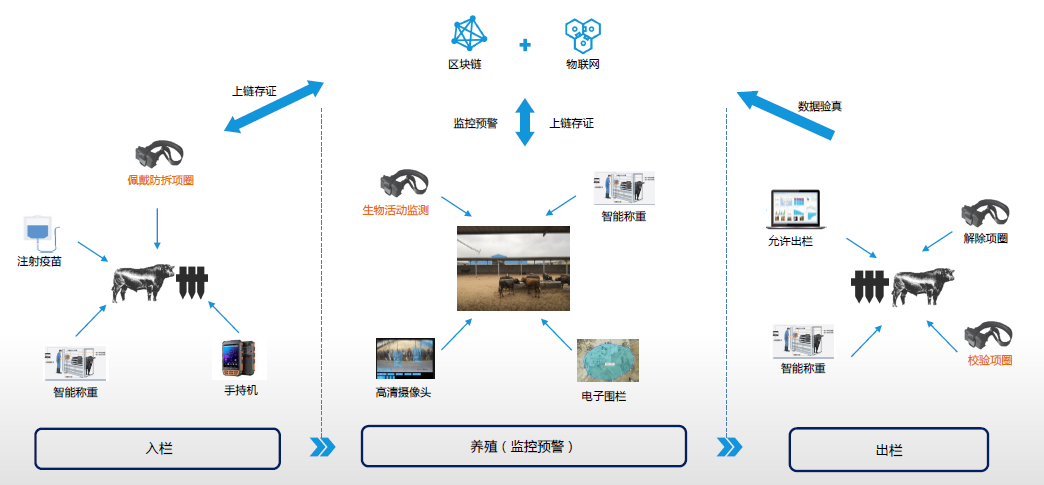 万向区块链杜宇:如何利用区块链最大化产业金融服务?2 万向区块链杜宇:如何利用区块链最大化产业金融服务?2