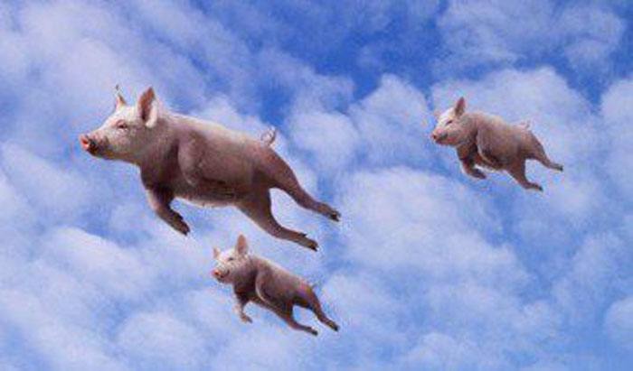 无论是否有牛市，请记住要开心！您是牛市中的千万富翁，没有什么是无现金的。3