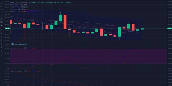 骑金者：行情变化不大 维持区间操作即可
