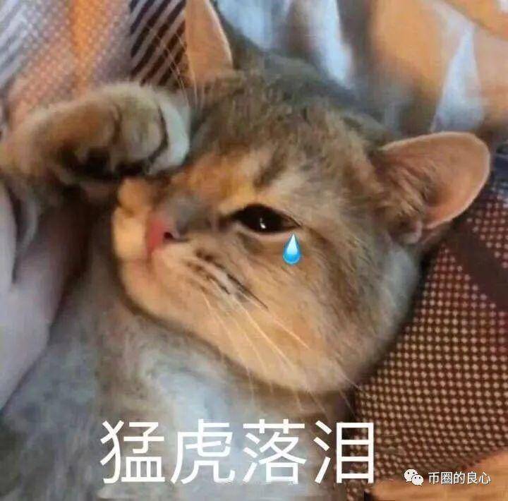 不能代表任何人的Yang Linke是币圈最聪明的人 不能代表任何人的Yang Linke是币圈最聪明的人