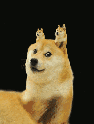 大多数主流货币没有大幅升值,或许是因为它们缺乏这种货币 大多数主流货币没有大幅升值,或许是因为它们缺乏这种货币