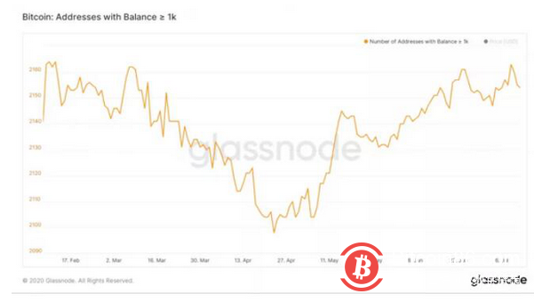 比特币鲸鱼地址的减少会导致市场大幅下跌吗？1