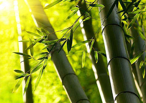 骑金者：BTC深度回调后再次属于震荡 上方压制是否依旧有效