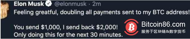 我是马斯克。给我一个比特币。我会还给你两次1