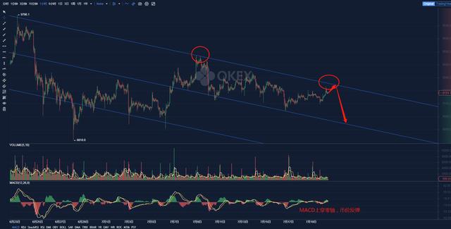 M神说：BTC无波动，除Link外，还有新的币种成为下半年的黑马？1