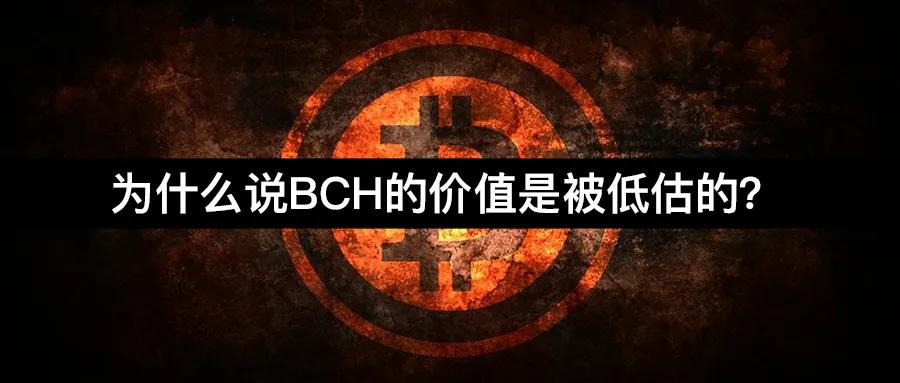 为什么BCH被低估了? 为什么BCH被低估了?