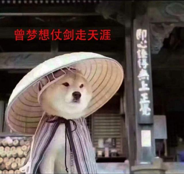 打滴滴回家,司机居然聊BTC和ETH,介绍“投一反三”的以太坊项目2 打滴滴回家,司机居然聊BTC和ETH,介绍“投一反三”的以太坊项目2