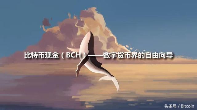 比特币现金（BCH）——数字货币界的自由向导