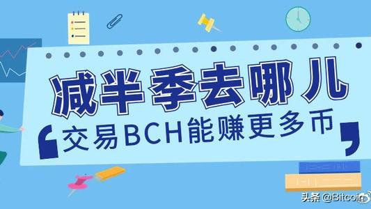 比特币现金（BCH）减半将至，你准备好了吗？