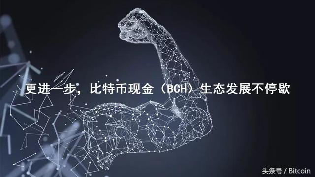 更进一步，比特币现金（BCH）生态发展不停歇