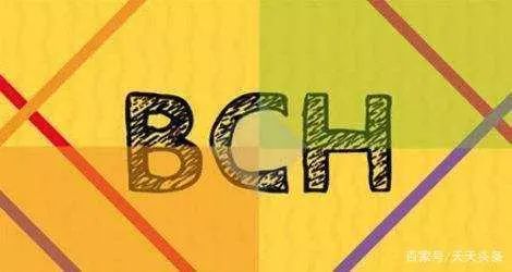 比特币现金（BCH）区块奖励减半将是“灾难性的”？