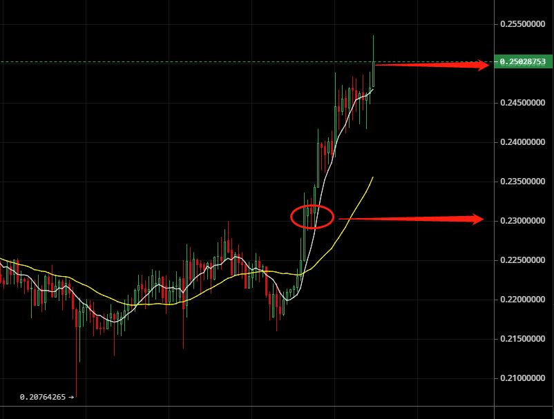 莱特币暴涨19%，88点好价位当场叫你买，最高暴涨105点；LTC减半行情该怎么把控？BCH、ETH、EOS；5月25日行情分析13