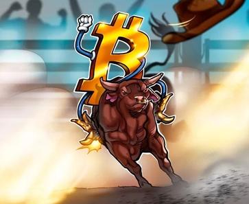 比特币“减半效应”无需神化，只是更多地催化“预期牛市共识”？1