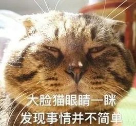 猫叔分享|XRP, EOS 和Tezos上大多数交易都没啥价值？！