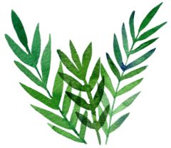 装死一年的XRP（瑞波币）又融资了2个亿美金！3