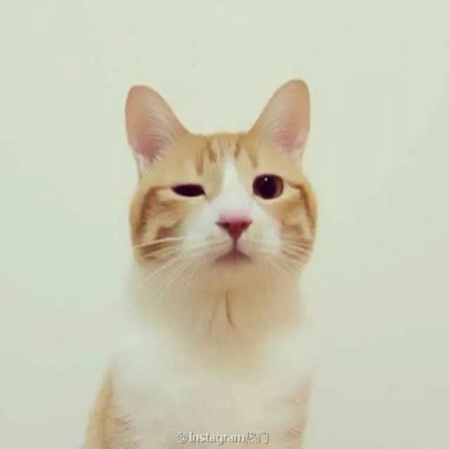 进击中的莱特币，还能涨多少？6