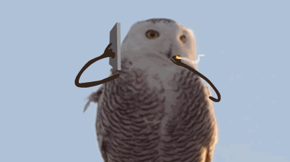 比特币|炒币还是挖矿？这是个问题1