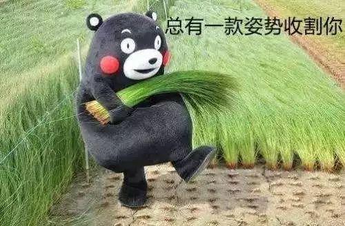 一个月时间割了千万韭菜，EOS还会是大家信仰的那颗柚子吗？1