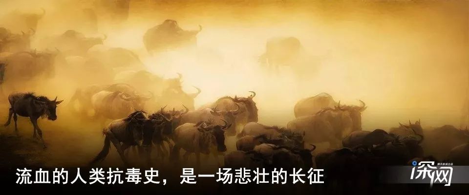 比特币产量第三次减半，挖矿产业面临巨大冲击 | 深网9