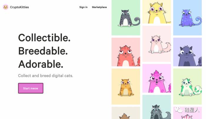 还买什么比特币，快来以太坊里“链养猫”！17