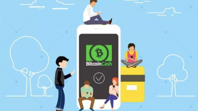 BCH减半那些事儿！李培才、江卓尔、刘昌用、田鑫这么说4