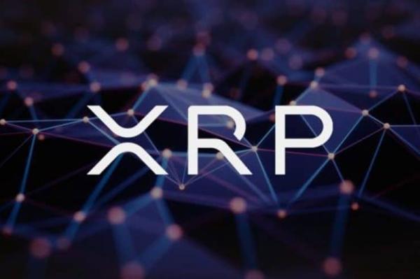 瑞波币（XRP）为何难以被金融机构完全接纳？