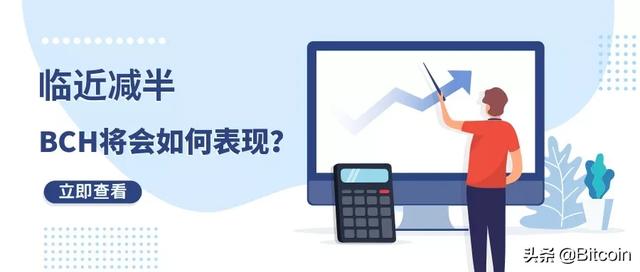 减半临近,BCH将会如何表现? 减半临近,BCH将会如何表现?