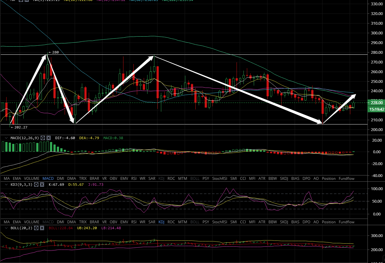 凌姗说币：7.6比特现金,莱特币,柚子币,BSV行情分析建议