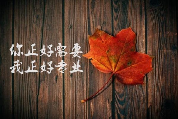 币佳颖：比特币投资小资金的生存之道