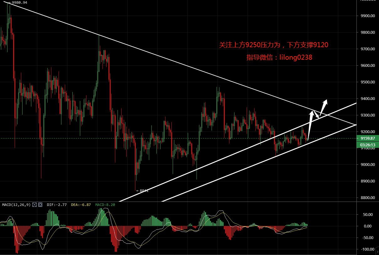 凌姗说币:7.20比特币,以太坊,莱特币,柚子币,比特现金,BSV,狗狗币行情分析策略 凌姗说币:7.20比特币,以太坊,莱特币,柚子币,比特现金,BSV,狗狗币行情分析策略