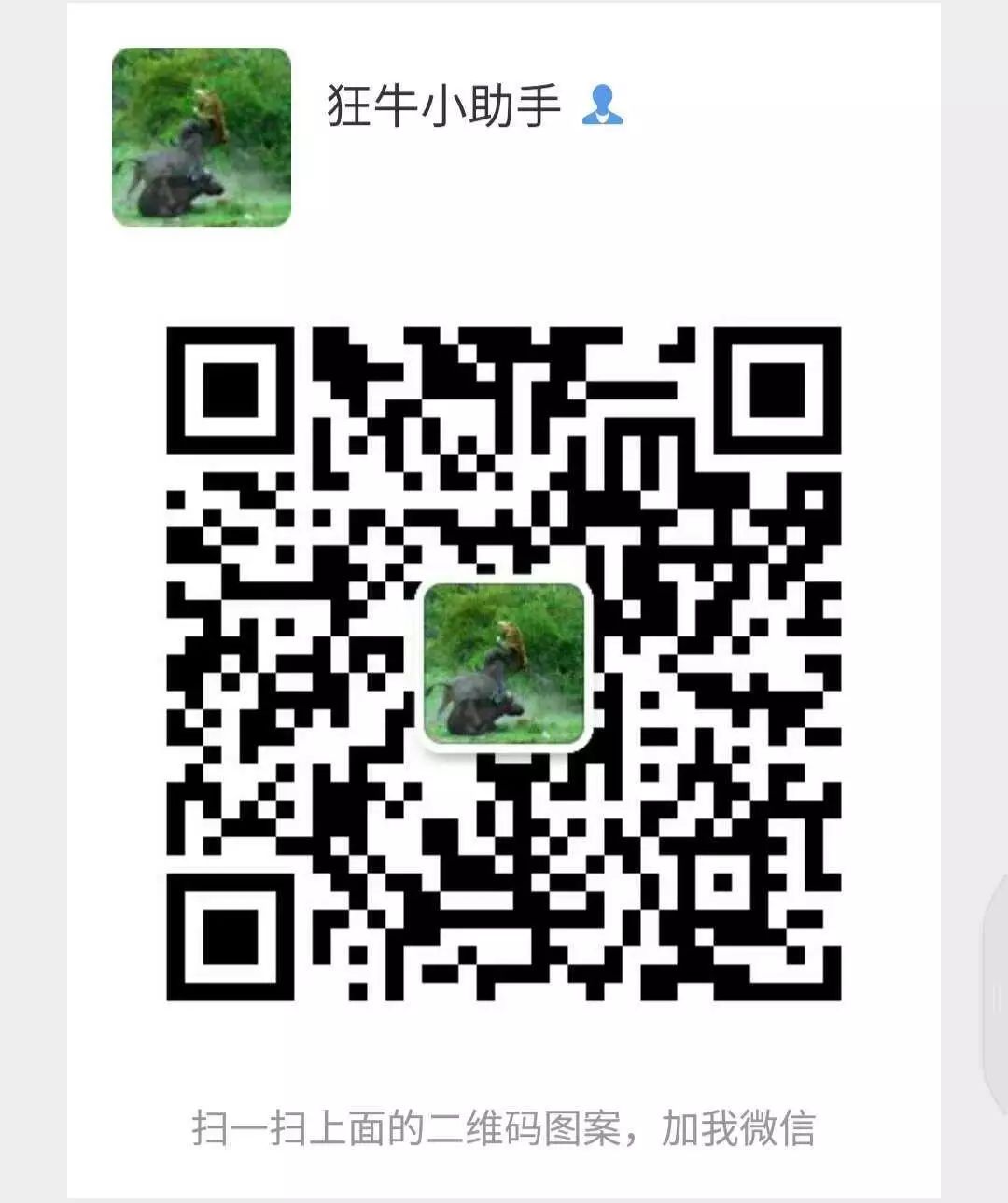莱特币暴涨19%，88点好价位当场叫你买，最高暴涨105点；LTC减半行情该怎么把控？BCH、ETH、EOS；5月25日行情分析11